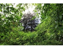 22 Topsail Road thumbnail 6