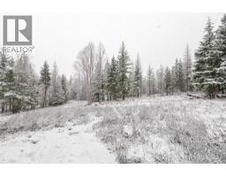 Lot A Meadow Creek Road Lot# Epp 14822, Meadow Creek, BC V0G1N0 Photo 10