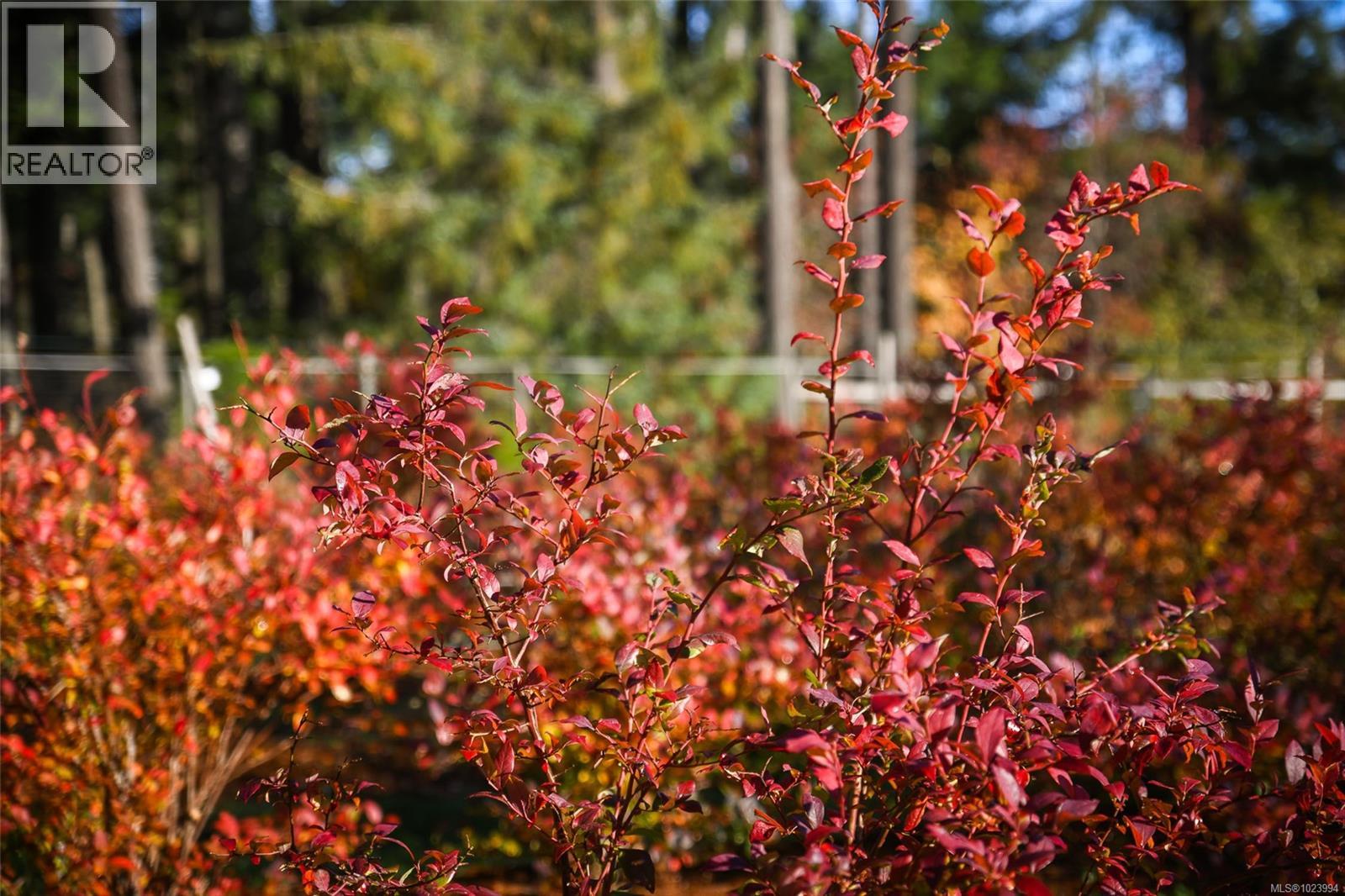 7592/7586 GABBY RD - 91