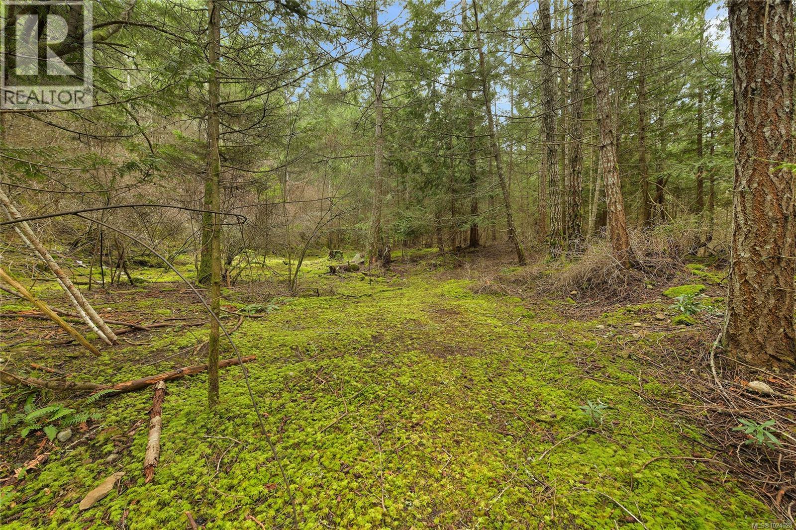  493 Abbott Road, Mayne Island