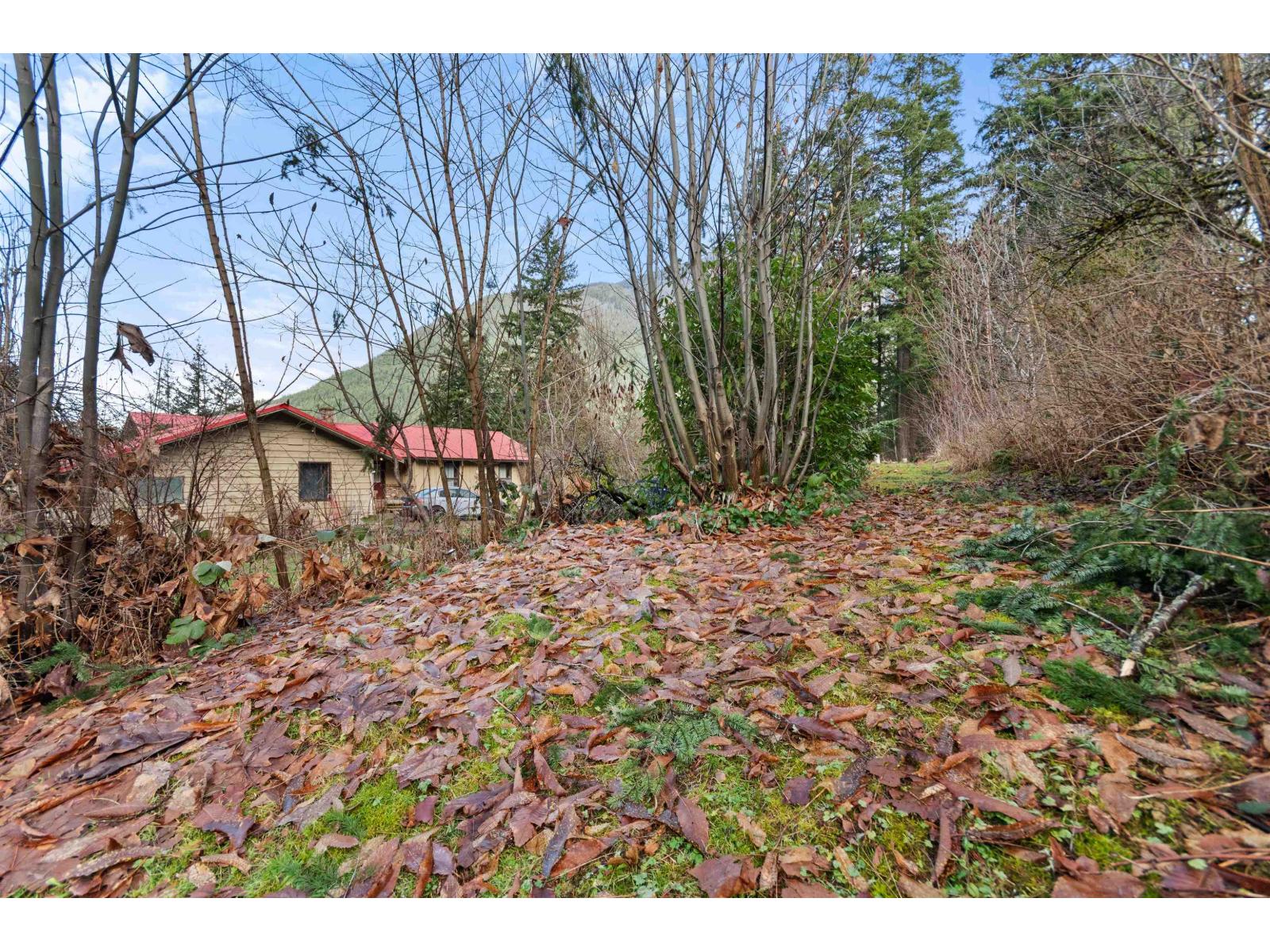 66176 KAWKAWA LAKE ROAD, Hope — photo 20