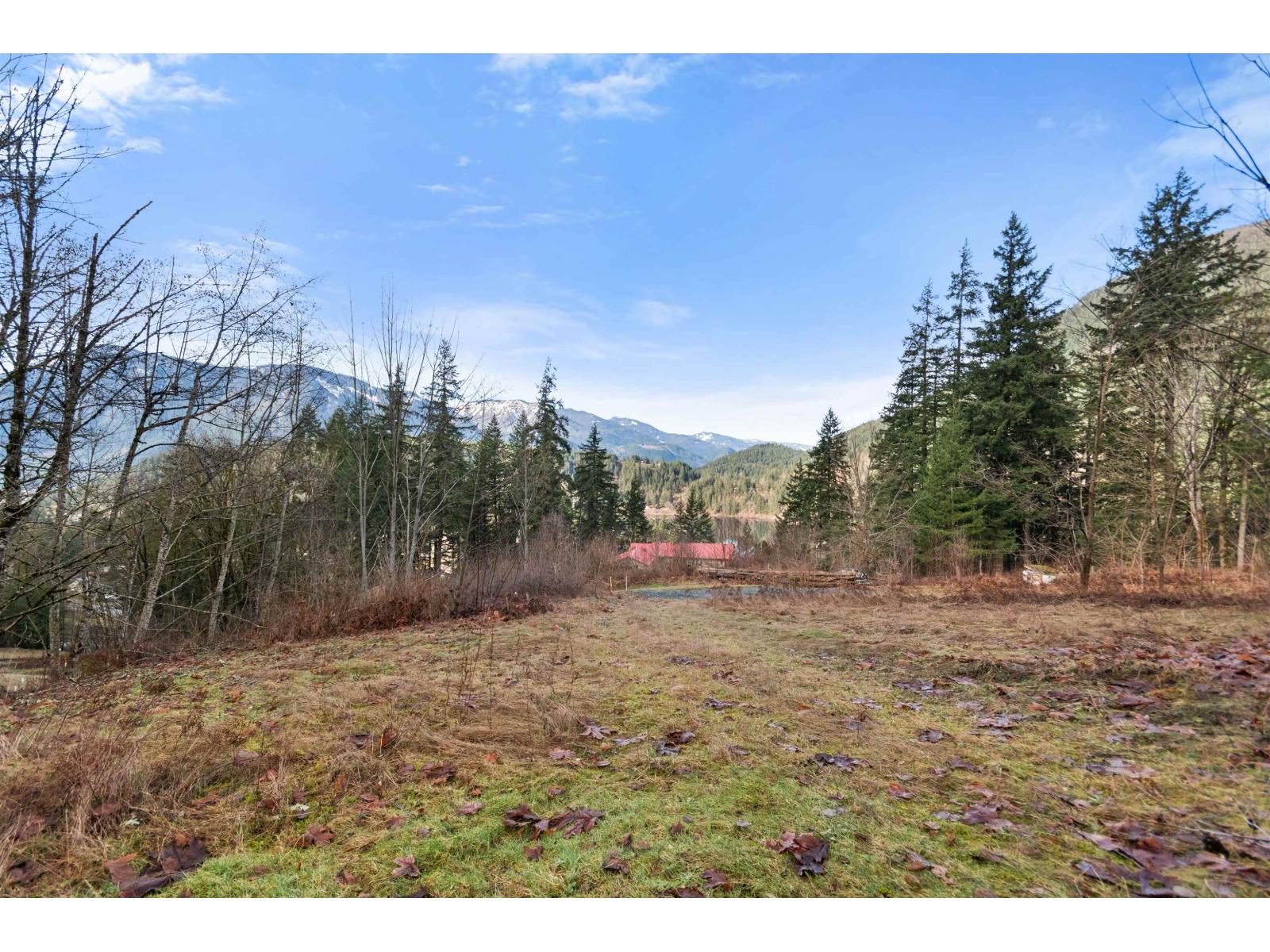 66176 KAWKAWA LAKE ROAD, Hope — photo 19