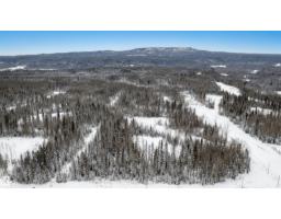 Twp Road 584 Range Road 133, Rural Woodlands County, AB T7S1N9 Photo 16