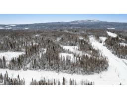 Twp Road 584 Range Road 133, Rural Woodlands County, AB T7S1N9 Photo 17