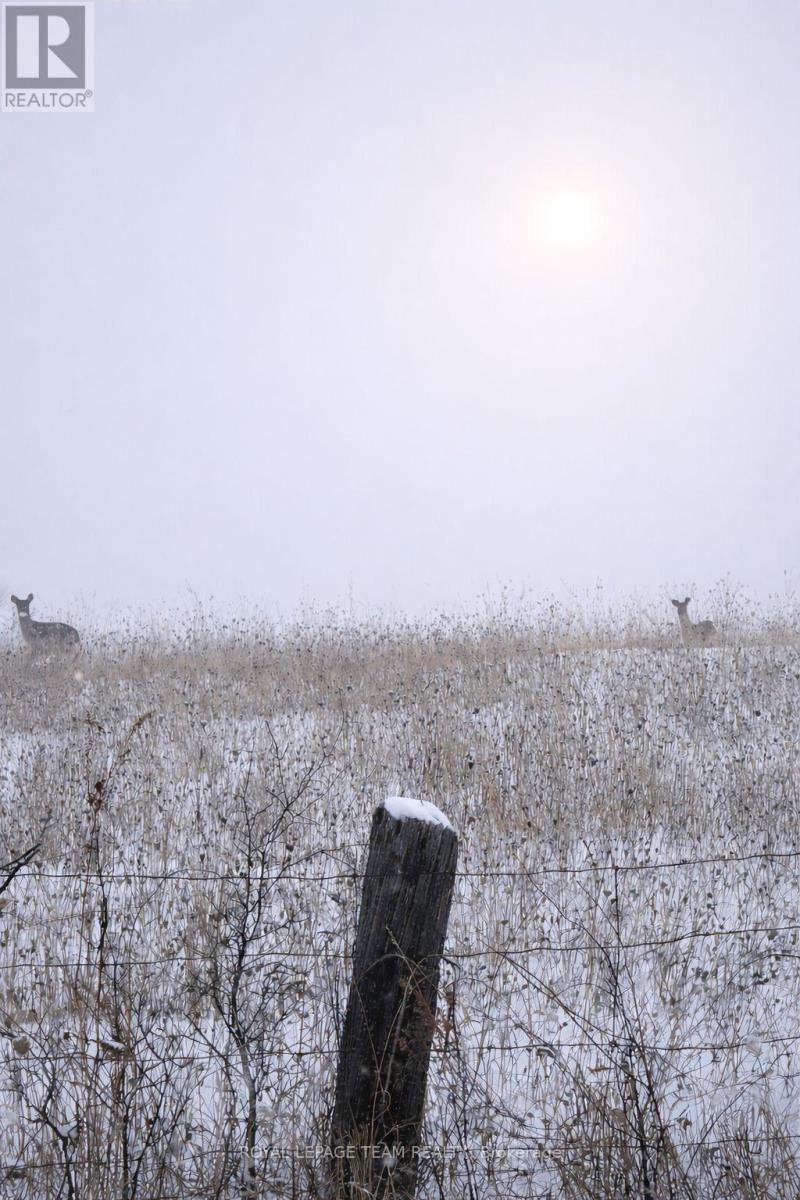 000 GERMANICUS ROAD - Photo 3 of 15, North Algona Wilberforce, Ontario
