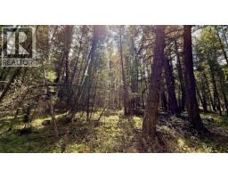 4460 Tatton-helena Fs Road, Lac La Hache, BC V0K1T0 Photo 24