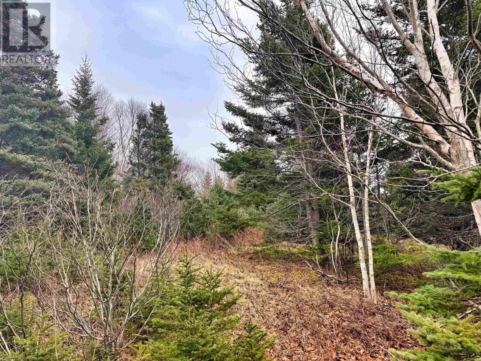 Property 6 of 15 of Lot 25-1 Corbetts Cove Road