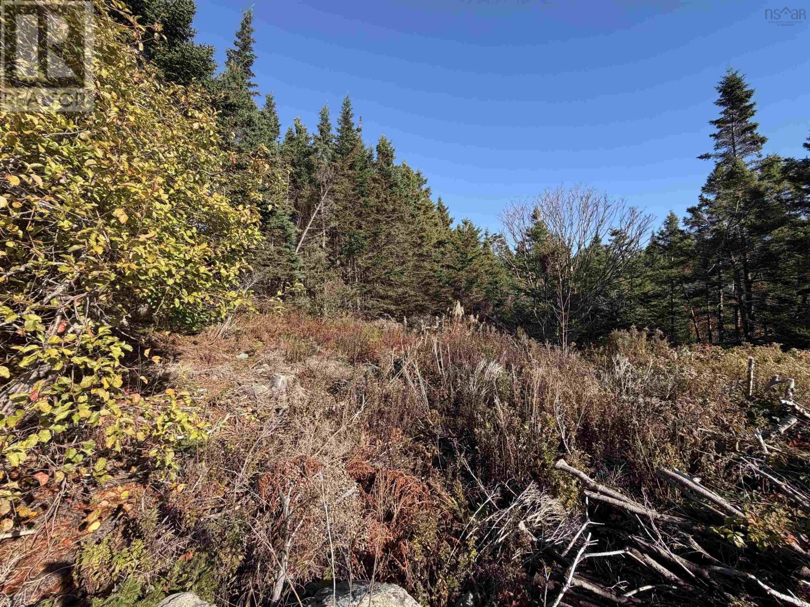 Property 7 of 41 of 429 Highway 7