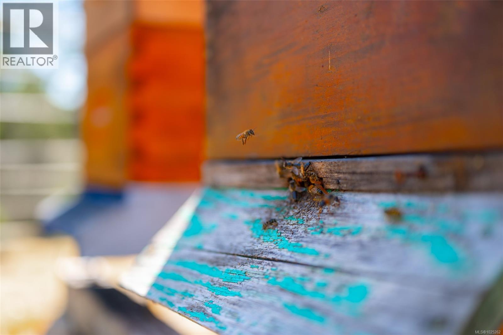 7800 Pacific Rim Hwy, Port Alberni