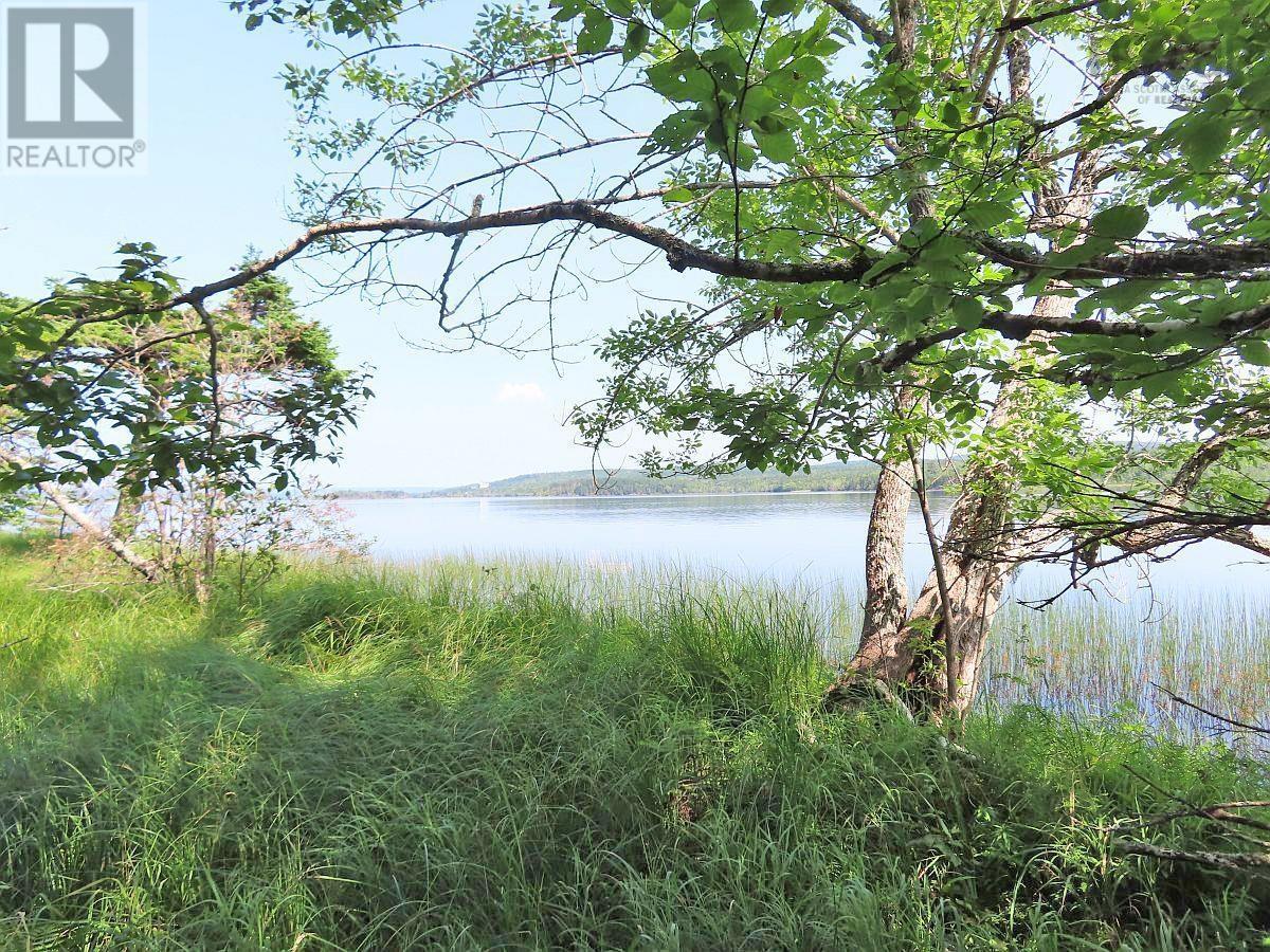 Property 17 of 41 of 83.9 Acres Grand Mira South Road