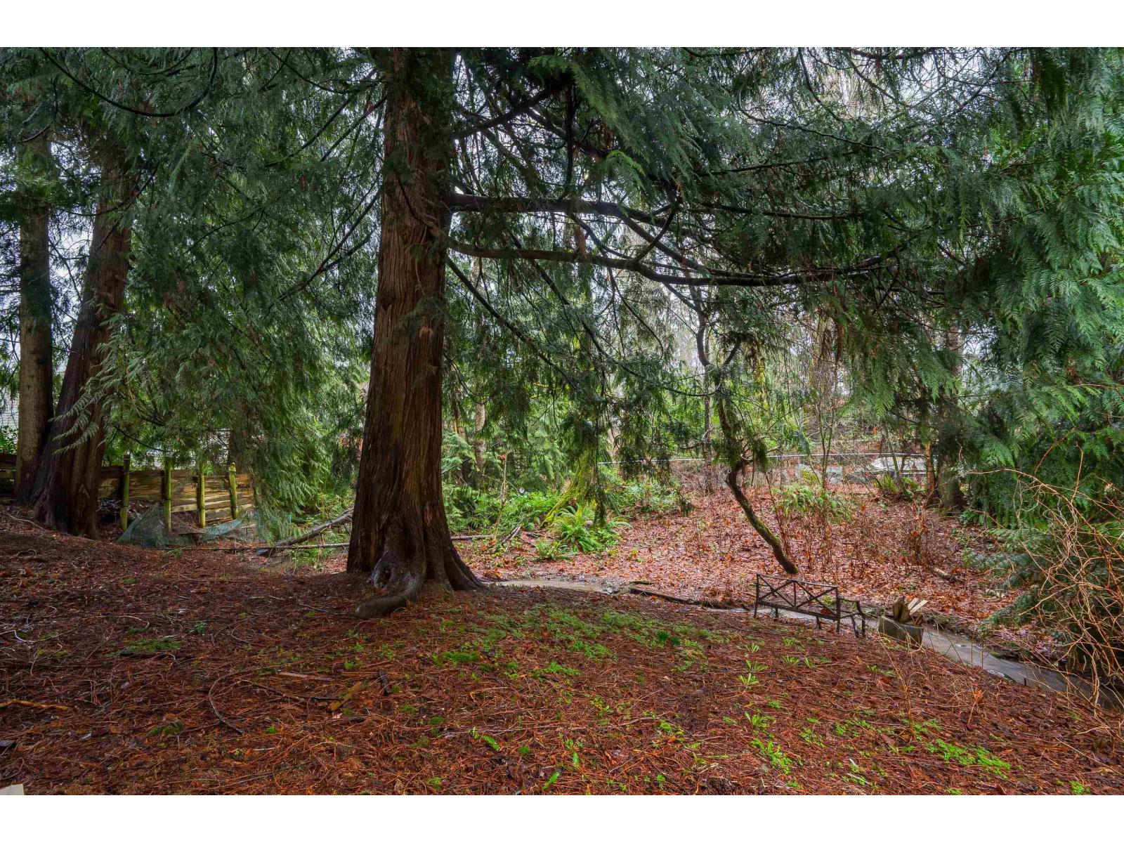 32472 GREBE CRESCENT, Mission