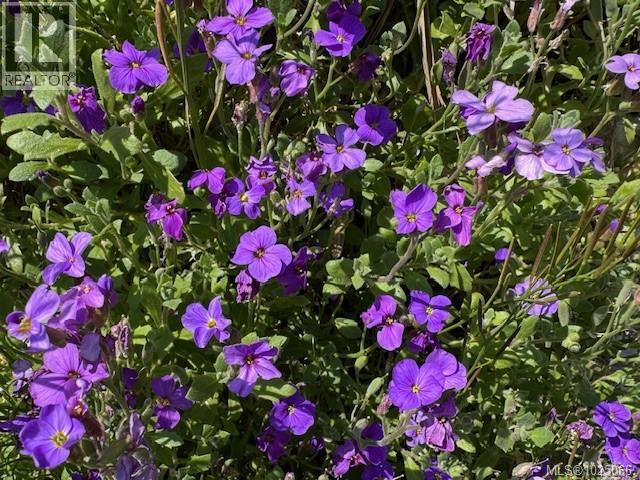 2118 VILLAGE DR - 55