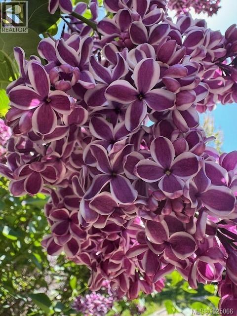 2118 VILLAGE DR - 56