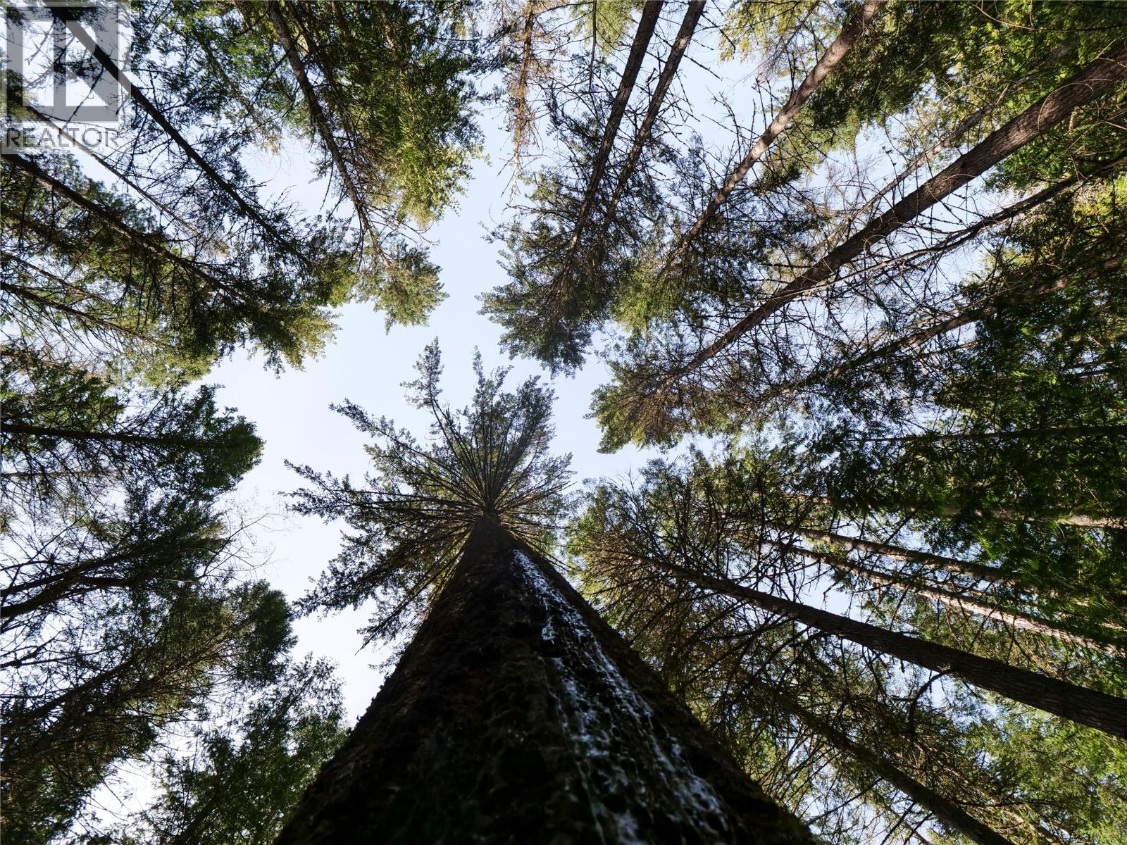  Lot 7 ANNABLE Road, Nelson