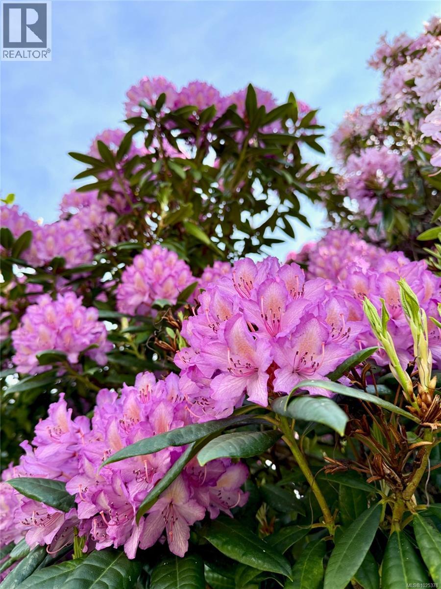 111 2250 Manor Pl, Comox