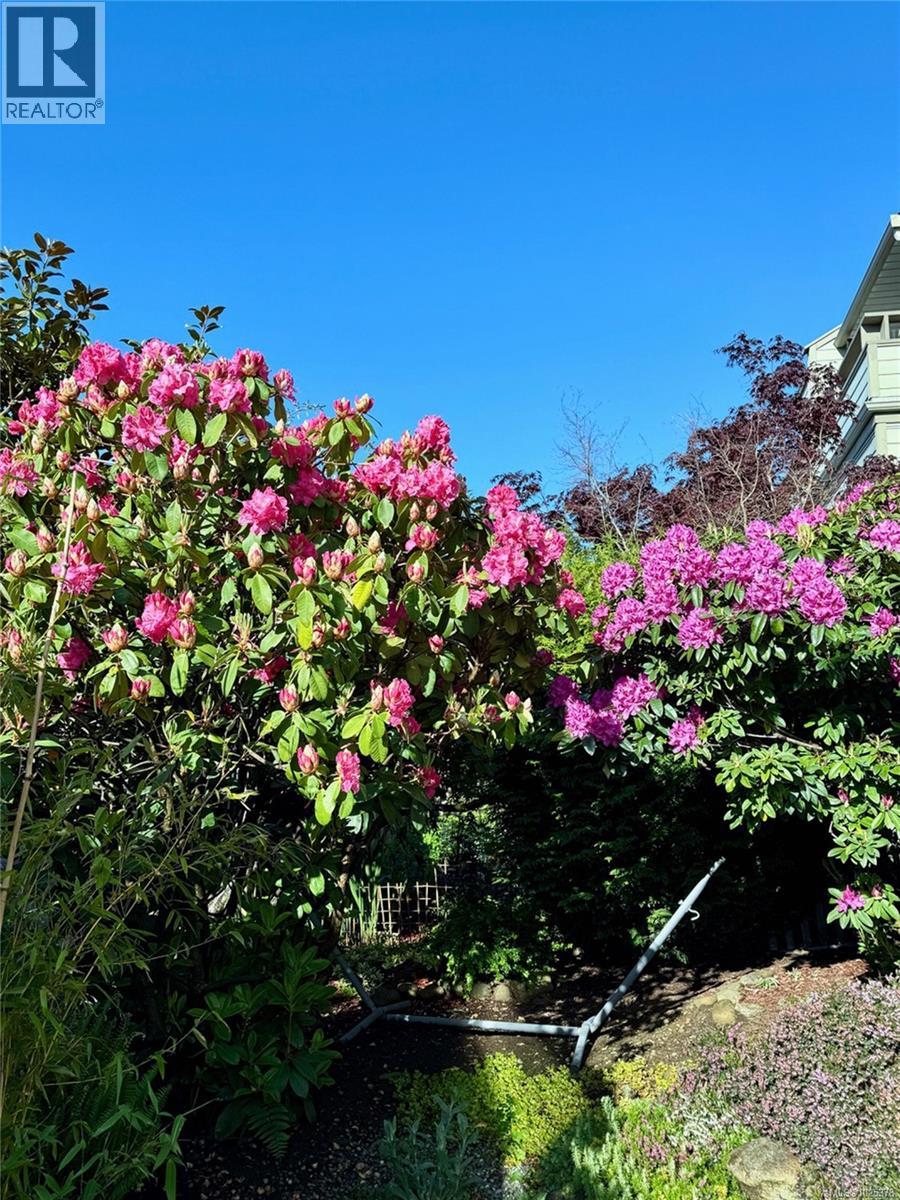 111 2250 Manor Pl, Comox