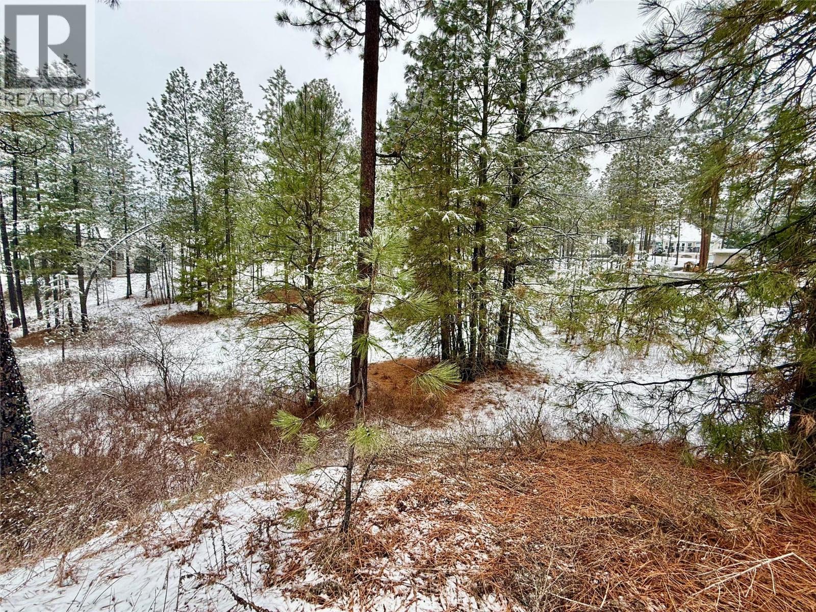 LOT 11 PROSPECT DRIVE - 10