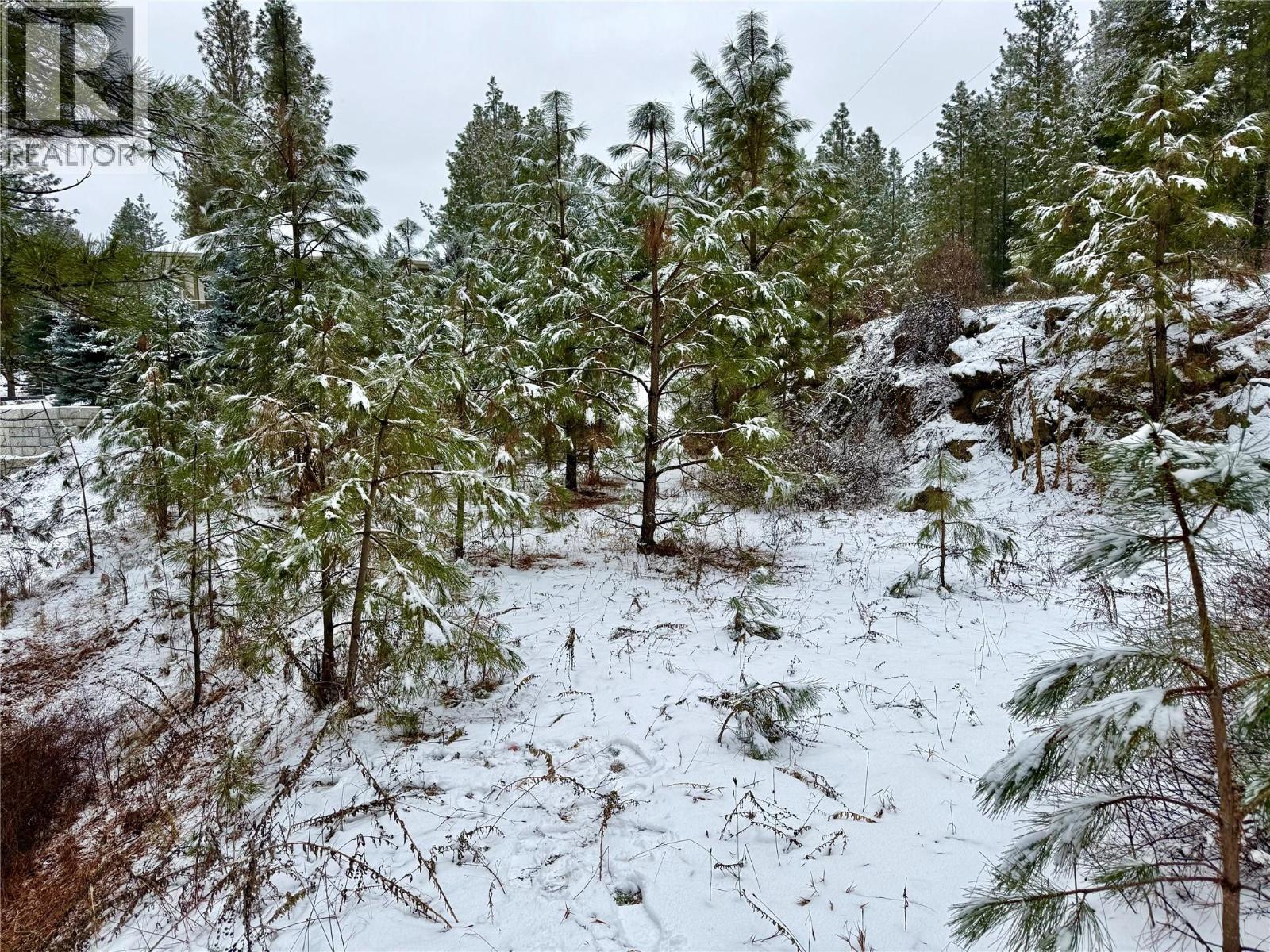 LOT 11 PROSPECT DRIVE - 11