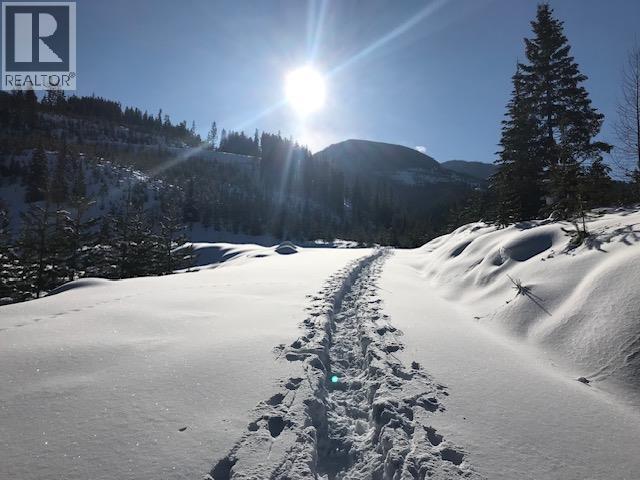 2179 Trappers Way, Panorama