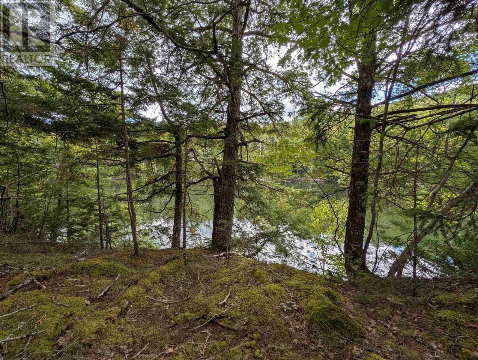 Property 4 of 24 of Lot 2 Highway 316