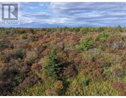 Lot 1 Goldenville Road, Goldenville, NS B0J0B3 Photo 7