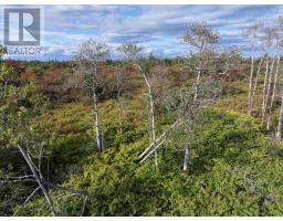 Lot 1 Goldenville Road, Goldenville, NS B0J0B3 Photo 9