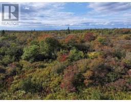Lot 1 Goldenville Road, Goldenville, NS B0J0B3 Photo 14