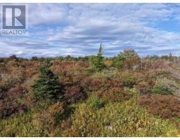 Lot 1 Goldenville Road, Goldenville, NS B0J0B3 Photo 15