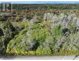 Lot 1 Goldenville Road, Goldenville, NS B0J0B3 Photo 8