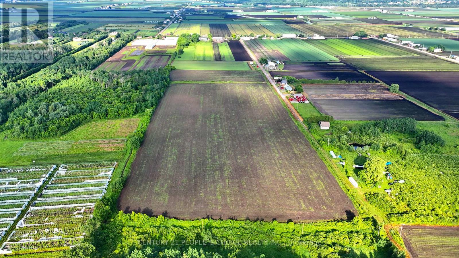 325 LIPCHEY ROAD - Photo 3 of 15, King, Ontario