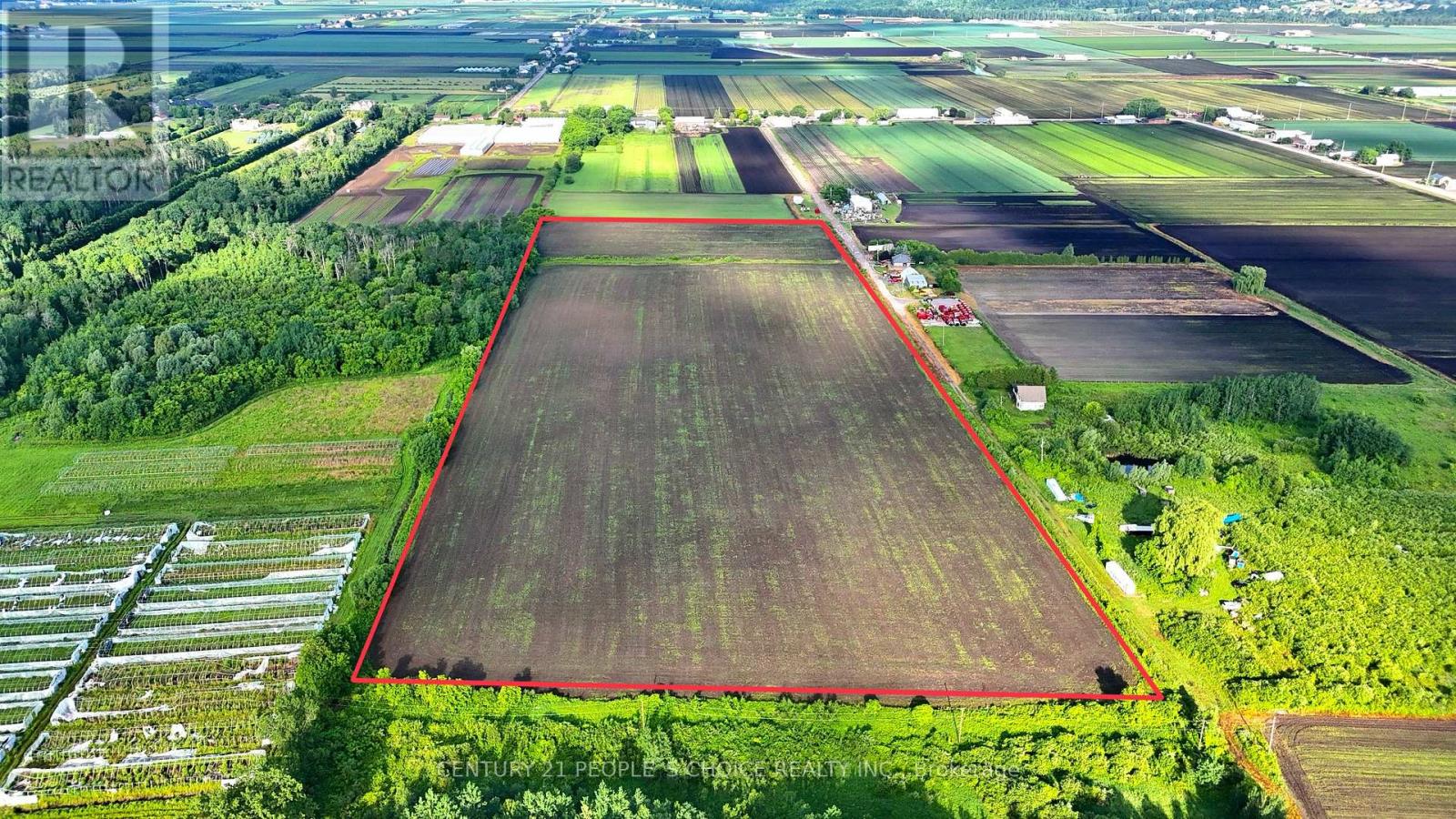 325 LIPCHEY ROAD - Photo 4 of 15, King, Ontario