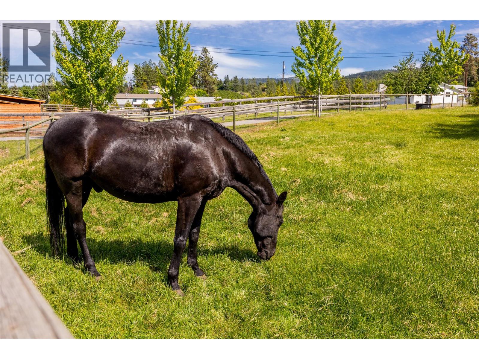 4284 Jaud Road - 6