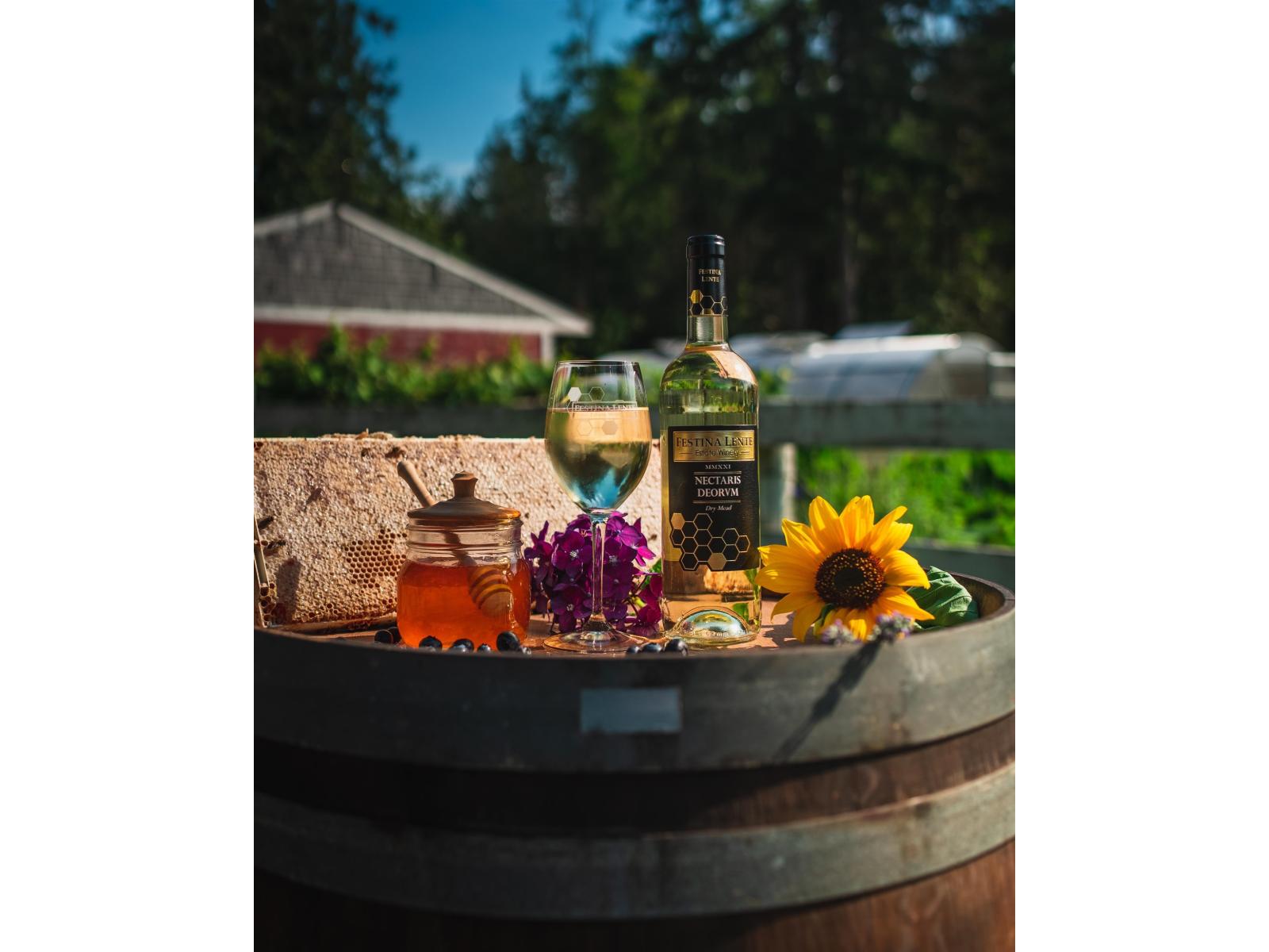 21113 16 AVENUE, Langley