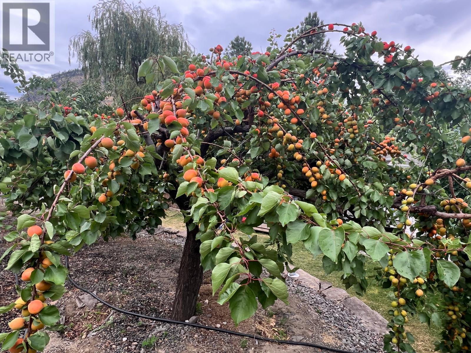  2044 Old Okanagan Highway, West Kelowna