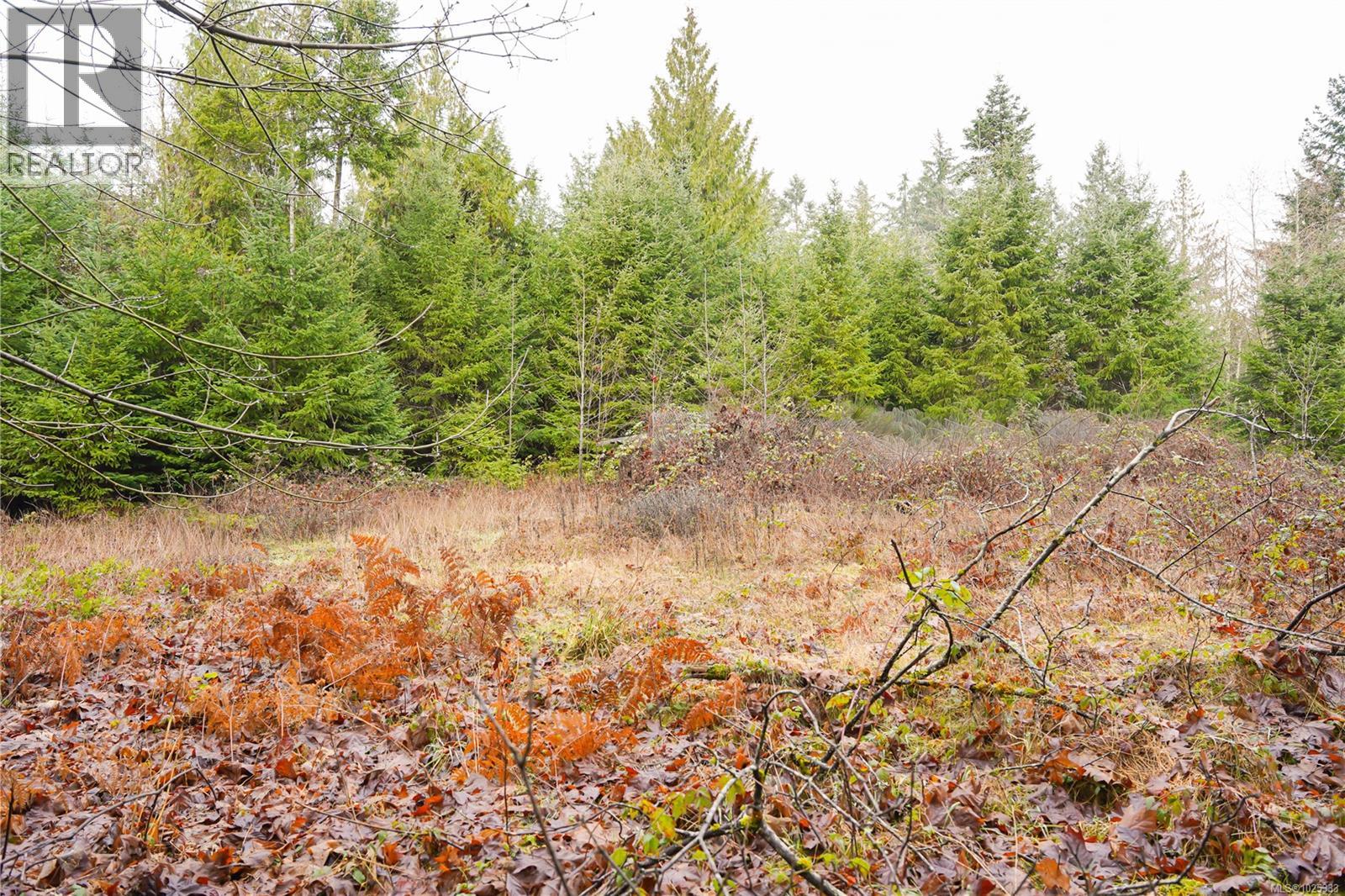 4255 Yellow Point Rd - 12