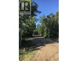 1300 Birch Drive, Turtle Lake, SK S0M1J0 Photo 12