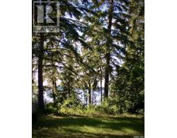 1300 Birch Drive, Turtle Lake, SK S0M1J0 Photo 9