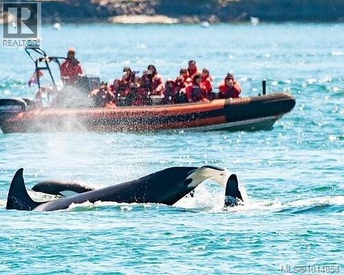 3 1004 DeCosta Place, Esquimalt