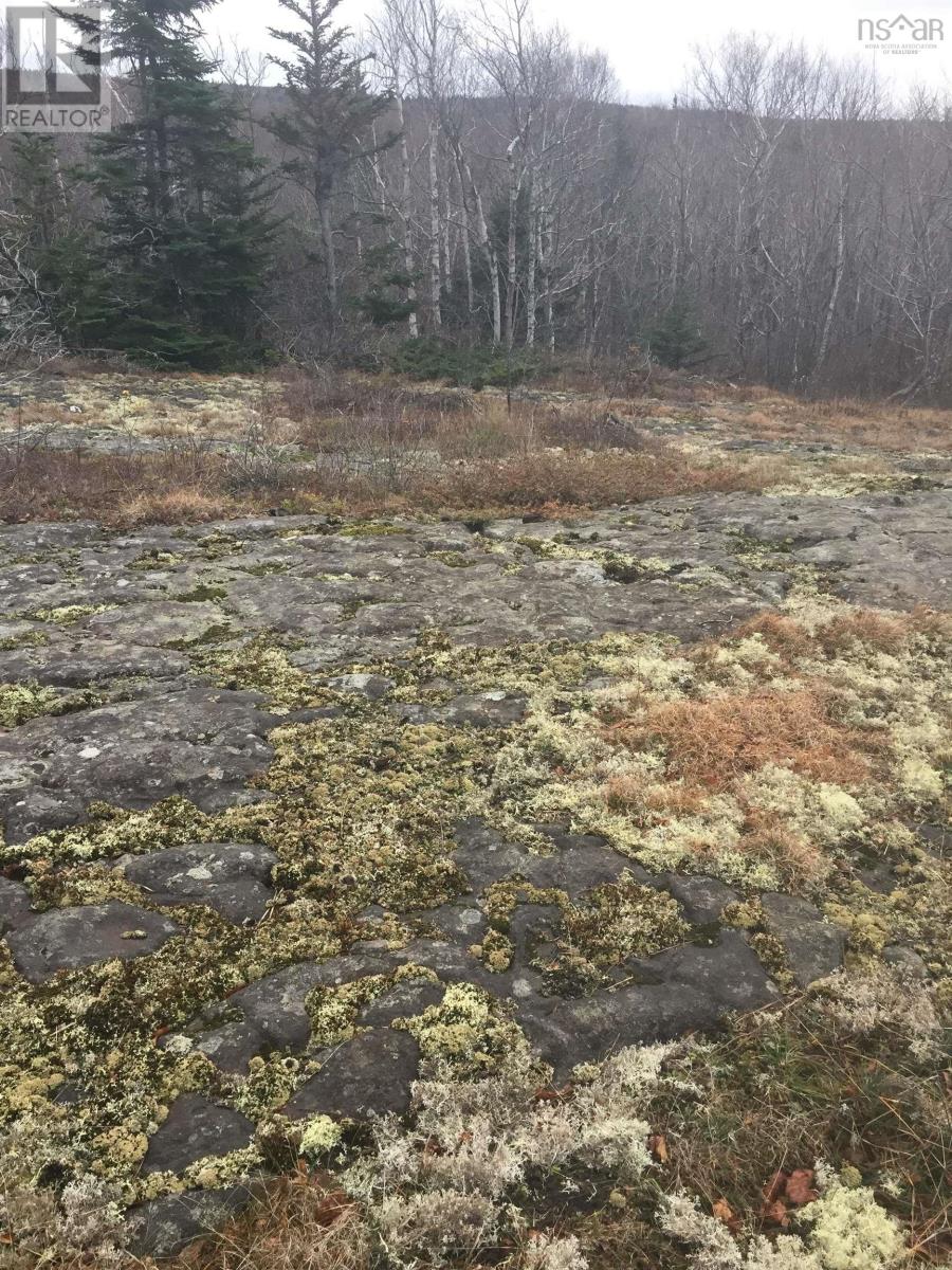 Property 13 of 14 of 1762 Culloden Road