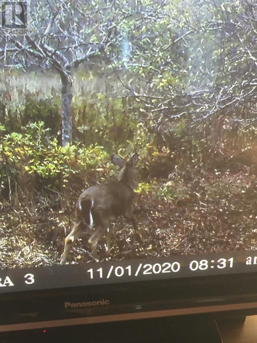 Property 11 of 14 of 1762 Culloden Road