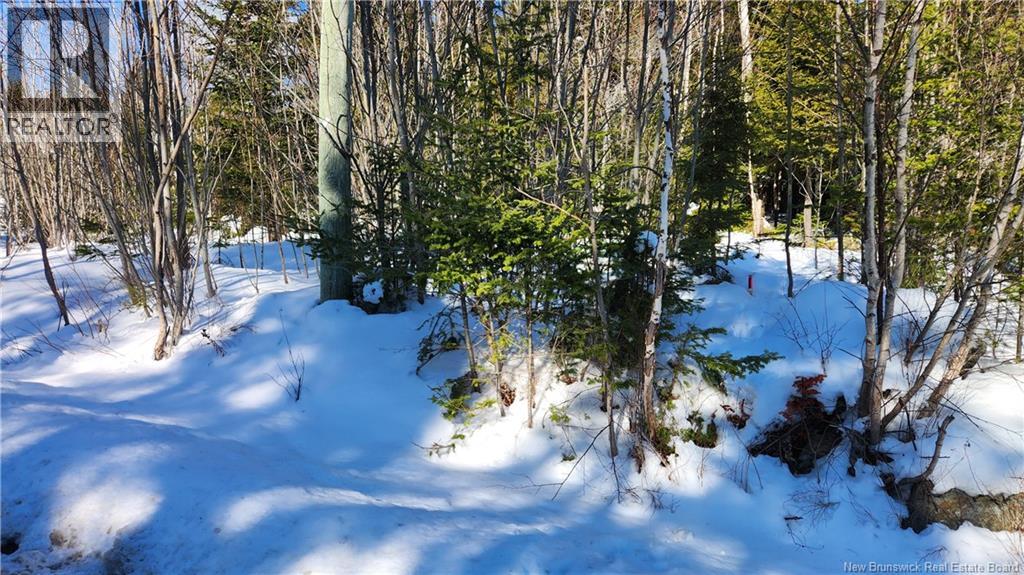 134 Highland Road - Photo 5 of 9, Grand Bay-Westfield, New Brunswick