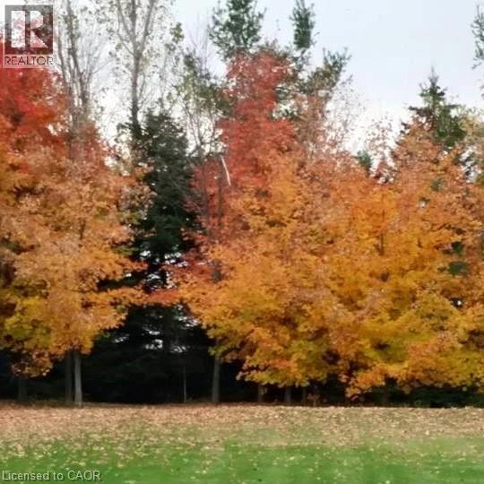 2264 BRITANNIA ROAD - 45