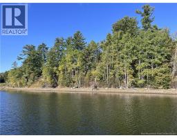 6.58 Acres Route 108, Derby Junction, NB E1V5J1 Photo 9