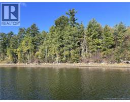 6.58 Acres Route 108, Derby Junction, NB E1V5J1 Photo 8