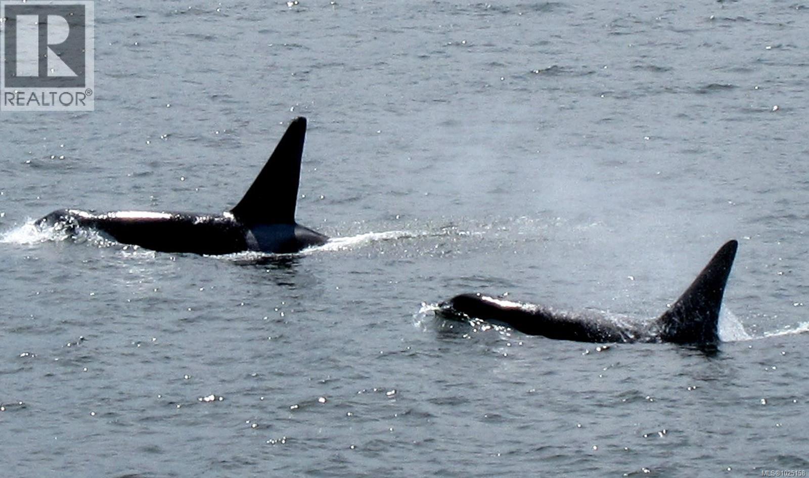  456 Scott Point Drive, Salt Spring