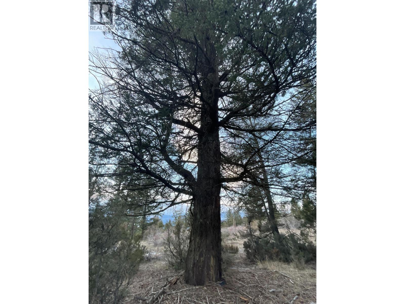 5057 BRADFORD ROAD - 32