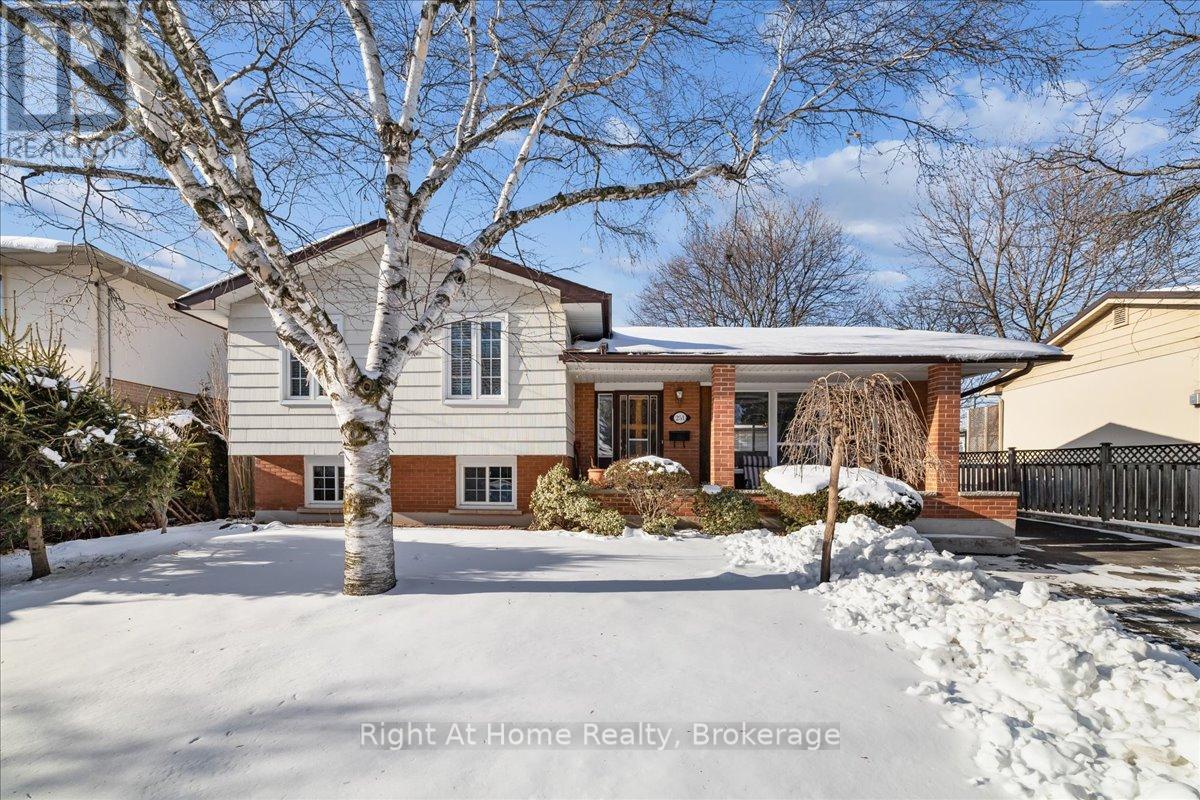 251 ELMWOOD ROAD - 1