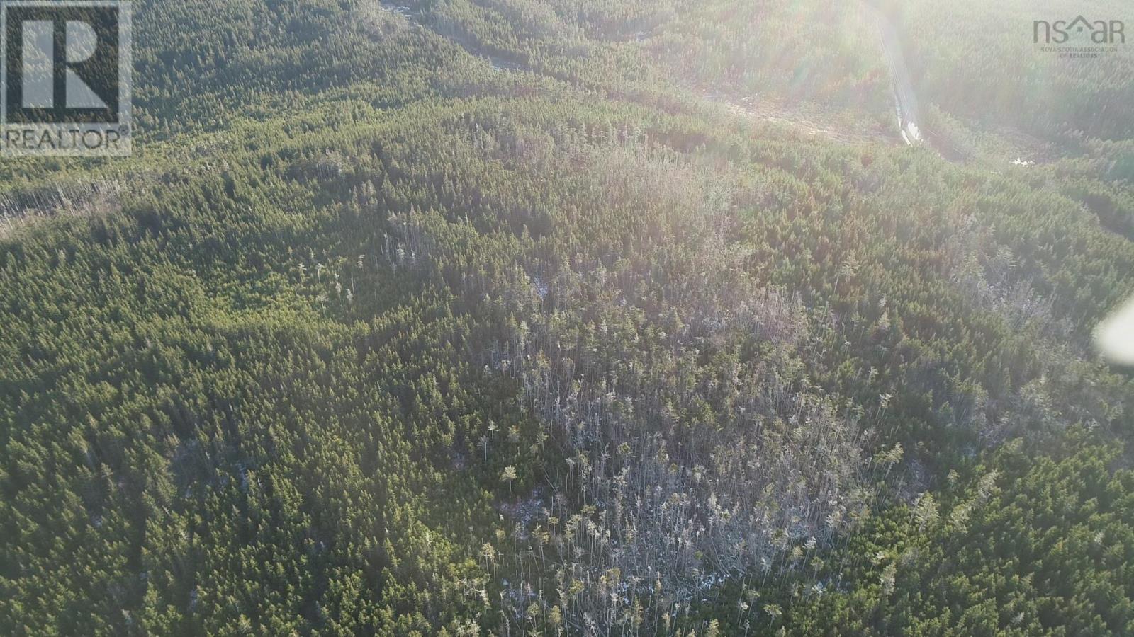 Property 4 of 10 of Lot 6 Pyes Head Road