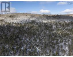 Lot Mckenzie Mountain Road, Port Royal, NS B0S1A0 Photo 19
