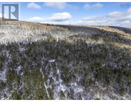 Lot Mckenzie Mountain Road, Port Royal, NS B0S1A0 Photo 9